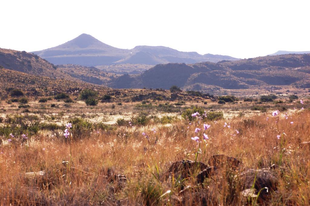 The Vale Karoo Farm Villa Nelspoort ภายนอก รูปภาพ